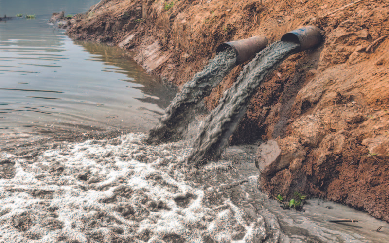 Proper and efficient waste management systems is essential in avoiding pollution and fostering a zero waste lifestyle.